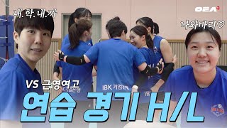 알코더 서브에이스 풍년 기업은행 배구 맛있다💙ㅣ연습 경기 HL [upl. by Ragland]