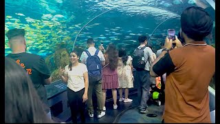 RIPLEY AQUARIUM TORONTO  FULL TOUR [upl. by Claudia]