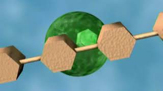 Enzymes  Amylase [upl. by Orgell]