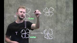 Allosteric Enzymes [upl. by Worthington359]