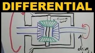 Differentials  Explained [upl. by Borroff75]