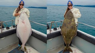 MASSIVE Halibuts Alaska Fishing Catch Clean amp Cook [upl. by Dogs912]