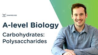 Carbohydrates Polysaccharides  Alevel Biology  OCR AQA Edexcel [upl. by Aihseya]