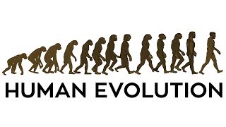 Human Evolution Animation [upl. by Holub]