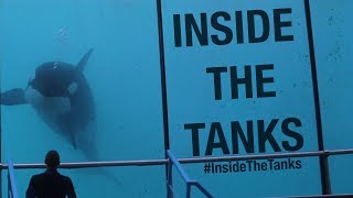 Inside The Tanks Full Documentary [upl. by Aiset]