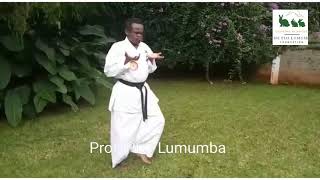 Prof PLO Lumumba showing incredible Karate moves [upl. by Worl]