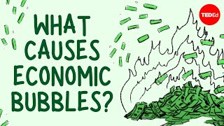 What causes economic bubbles  Prateek Singh [upl. by Ettenel408]