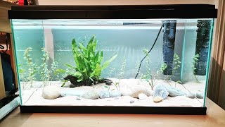 NEW AQUARIUM  CIANO AQUA 60 LITRE FISH TANK UMBOXED AND STOCKED [upl. by Jerrold855]