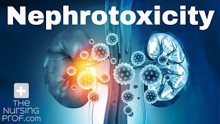 Renal Emergencies Nephrotoxicity [upl. by Vange]
