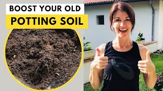 REUSE POTTING SOIL  Can I reuse old potting soil [upl. by Anglim79]