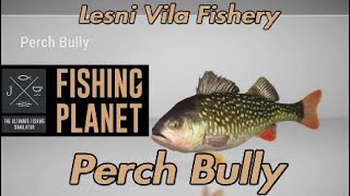 Perch Bully Monster Fish  Lesni Vila Fishery  Fishing Planet Guide [upl. by Uahsoj364]