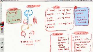 Vitamin B1  Thiamine [upl. by Altheta]