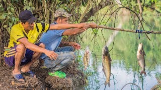 Pesca Con Colgados Técnicas Para Pescar En Ríos [upl. by Ahsiekal]