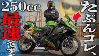 【２スト感】やり過ぎフルカスタムの『ZX25R』がもう250ccの域を越えている件【カスタム費140万円】 [upl. by Terces]