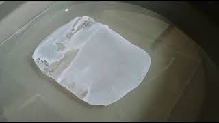 Flat Sheet Membrane Fabrication Polysulfone PS Membrane Casting Using Rod [upl. by Tamma712]