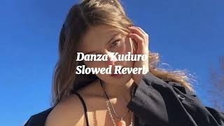 Don Omar  Danza Kuduro  Slowed Reverb [upl. by Moshell873]