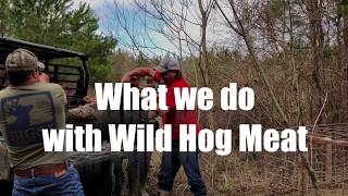 What we do with Wild Hog Meat [upl. by Brunell]