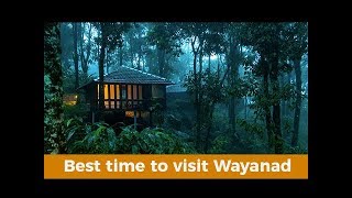 Best time to visit Wayanad [upl. by Reo67]