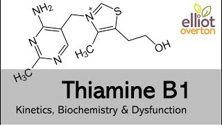 Thiamine Vitamin B1 Basic Kinetics Biochemistry amp Deficiency [upl. by Gudren]