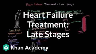 Heart Failure  Pharmacology ACE ARBs Beta Blockers Digoxin Diuretics [upl. by Ahsenauq173]