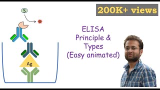 ELISA Enzymelinked Immunosorbent Assay [upl. by Hnoj556]