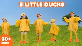 5 Little Ducks  Nursery Rhymes  Kids Songs [upl. by Libre]