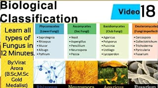 Types of fungus classification of fungiphycomycetesascomycetesbasidiomycetesdeuteromycetesNEET [upl. by Camilo]