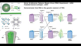 RNA as Genetic Material [upl. by Sletten]