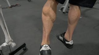 HowTo Build Big Calves  Best Gastrocnemius and Soleus Exercises  Advanced Training 24 [upl. by Adiol]