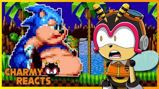 SONIC WHY YOU SO CHONKY  Charmy Reacts to Sonic Oddshow HD Remix [upl. by Farrington]