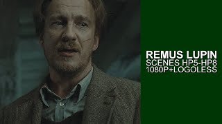 Remus Lupin Scenes  Logoless 1080p [upl. by Parik]