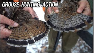 CRAZY Grouse Hunting ACTION 30 FLUSHES [upl. by Eimot]