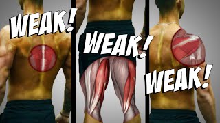 3 Muscle Imbalances SLOWING Your Gains Stop Neglecting These [upl. by Ned]