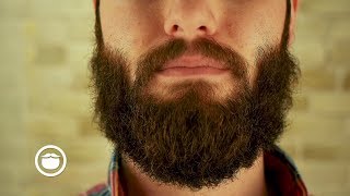 What to Do About Mustache Gaps  YEARD WEEK 12 [upl. by Johannah]