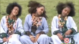 Mebre Mengistu  መብሬ መንግስቱ  Wollo lay yaleshiw  ወሎ ላይ ያለሽው [upl. by Jaclin]