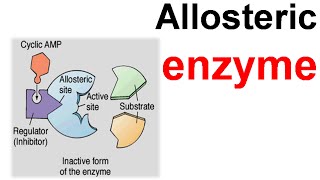 Allosteric enzyme [upl. by Nnaynaffit]