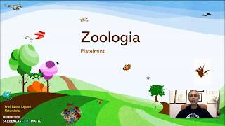 Zoologia  Platelminti [upl. by Brink103]