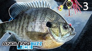 Ice Fishing Panfish – AnglingBuzz ICE [upl. by Montgomery]