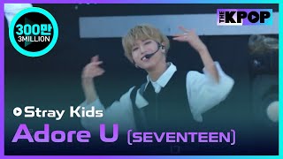 Stray Kids Adore USEVENTEEN Jeju hallyu Festival 2018 [upl. by Kearney]