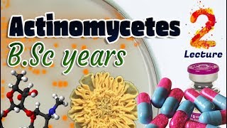 Actinomycetes  Characteristics  Classifications  Non sporat actinomycetes BSc 3st year 🧫💊🔬 [upl. by Sebastian]