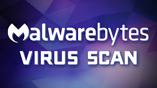 Malwarebytes Basics  How to Scan for Viruses amp Other Malware [upl. by Etram]