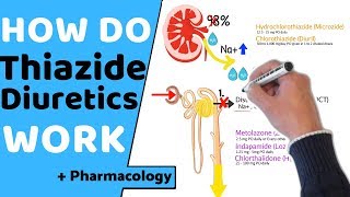 How do Thiazide Diuretics Work  Pharmacology [upl. by Ciel]