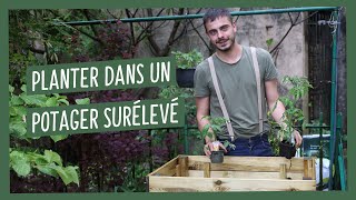 Mes conseils pour planter dans un potager surélevé comment faire [upl. by Stephi663]