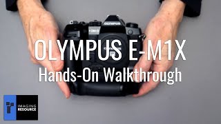 Olympus EM1X Preview  Who needs fullframe [upl. by Enaywd]