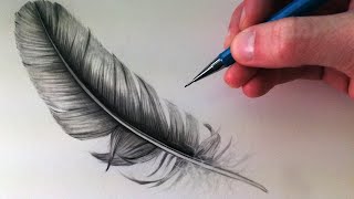 How to Draw a Feather [upl. by Wilscam]