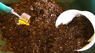 How to revitalize and reuse potting soil [upl. by Stefanac]