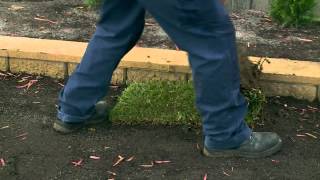 How To Lay Instant Turf  DIY At Bunnings [upl. by Nede]