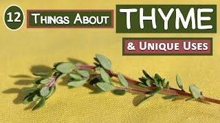 12 Things About Thyme and Its Unique Uses [upl. by Azile]