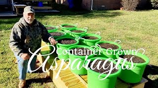 How To Grow Asparagus in Containers Part 1 of 3 [upl. by Assiron]