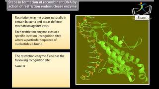 Class 12 BIOLOGY  Chapter Biotechnology Principles and Processes  CBSE [upl. by Xila309]